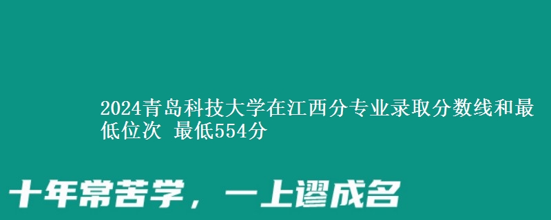 2024青岛科技大学在江西分专业录取分数线和最低位次 最低554分