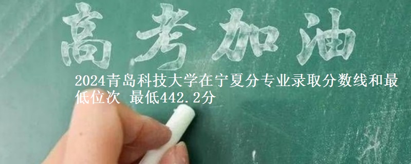 2024青岛科技大学在宁夏分专业录取分数线和最低位次 最低442.2分