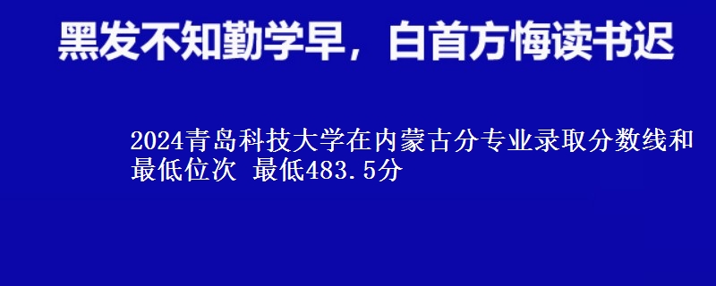 2024青岛科技大学在内蒙古分专业录取分数线和最低位次 最低483.5分