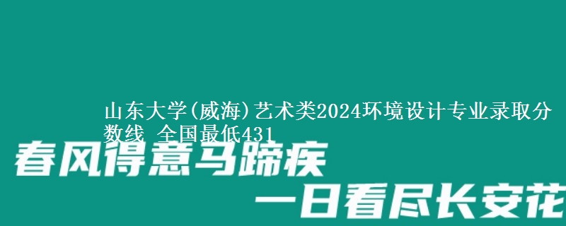 山东大学(威海)艺术类2024环境设计专业录取分数线 全国最低431