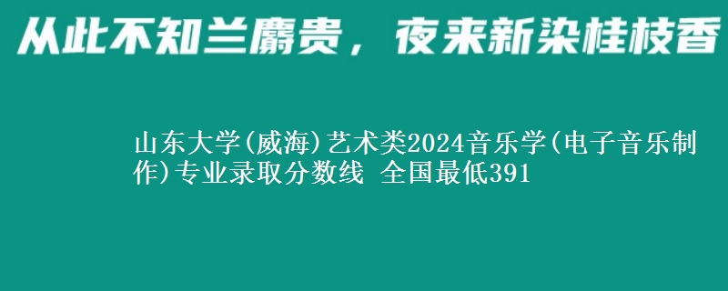 山东大学(威海)艺术类2024音乐学(电子音乐制作)专业录取分数线 全国最低391