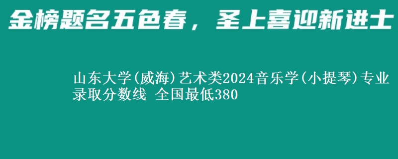 山东大学(威海)艺术类2024音乐学(小提琴)专业录取分数线 全国最低380