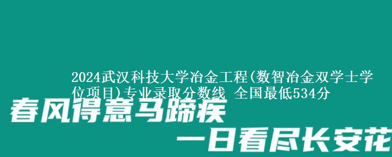 2024武汉科技大学冶金工程(数智冶金双学士学位项目)专业录取分数线 全国最低534分