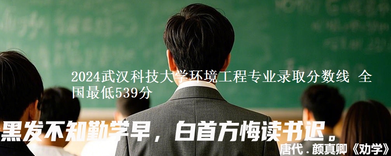 2024武汉科技大学环境工程专业录取分数线 全国最低539分