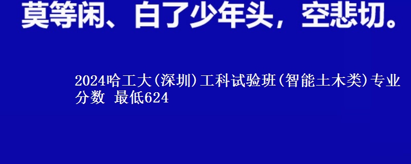 2024哈工大(深圳)工科试验班(智能土木类)专业分数 最低624