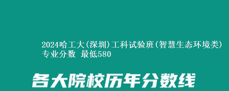 2024哈工大(深圳)工科试验班(智慧生态环境类)专业分数 最低580