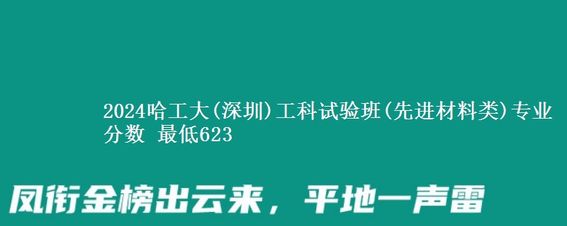 2024哈工大(深圳)工科试验班(先进材料类)专业分数 最低623