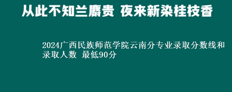 2024广西民族师范学院云南分专业录取分数线和录取人数 最低90分