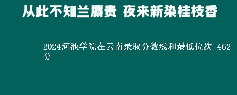 2024河池学院在云南录取分数线和最低位次 462分