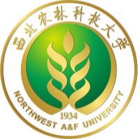 西北农林科技大学汉语国际教育最低多少分 录取多少人