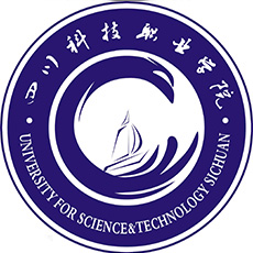 四川科技职业学院2023录取分数线