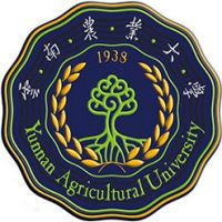 云南农业大学2024中外合作办学分数线 云南最低分511