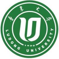 鲁东大学2024艺术类各省分数线