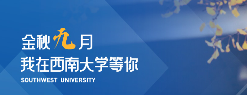 西南大学2024美术类专业分数线