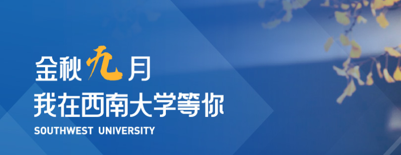 西南大学音乐类分数线