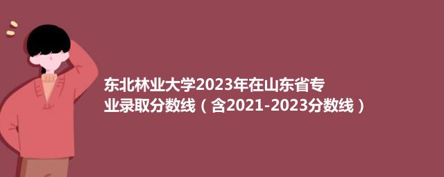 东北林业大学2021-2023近三年高考在山东省专业录取分数线（含2021-2023分数线）