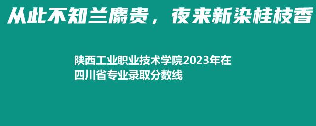 陕西工业职业技术学院2023在四川录取分数线