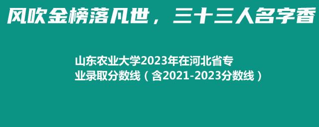 山东农业大学2023年在河北省专业录取分数线（含2021-2023分数线）