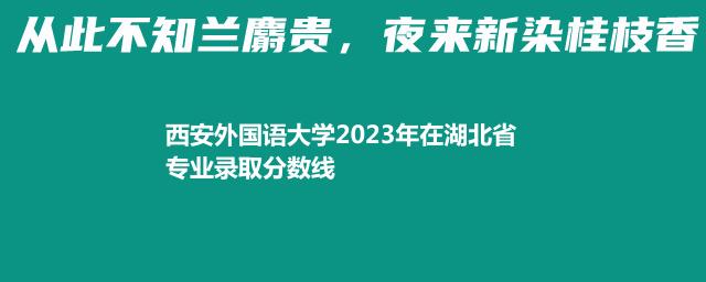 西安外国语大学2023年在湖北省专业录取分数线