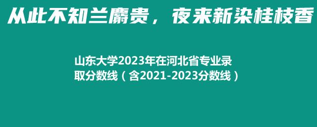 20232024山东大学在河北省专业录取分数线（含2021-2023分数线）