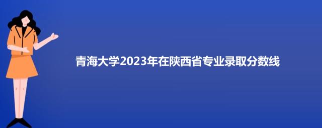 青海大学2023年在陕西省专业录取分数线