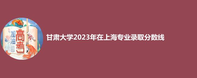 甘肃大学2023中外合作办学分数线