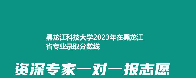 黑龙江科技大学2024在黑龙江录取分数线和录取人数