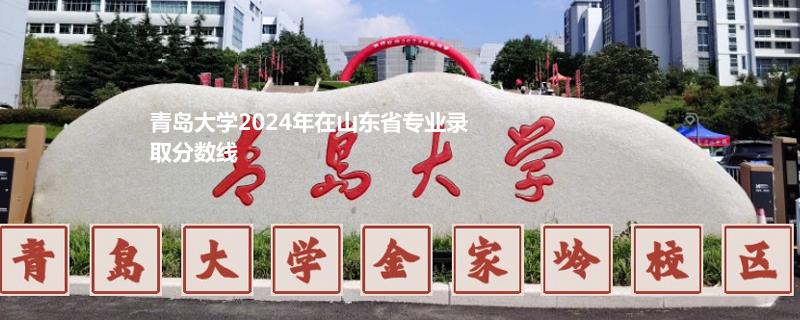 青岛大学2024年在山东省专业录取分数线