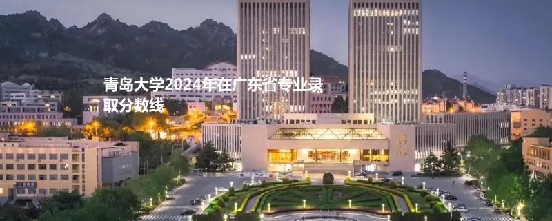 青岛大学2024年在广东省专业录取分数线