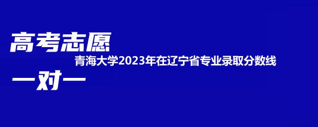 青海大学2023年在辽宁省专业录取分数线