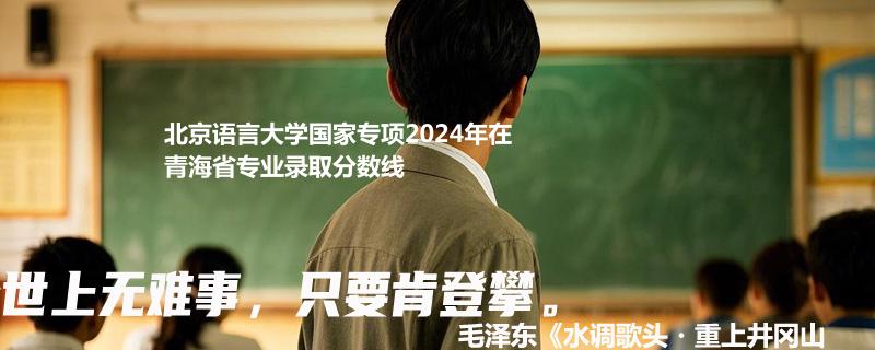 北京语言大学国家专项2024高考青海专业录取分数线