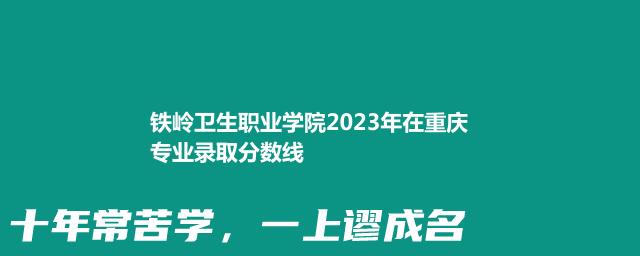 铁岭卫生职业学院2023年在重庆专业录取分数线