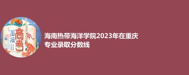 海南热带海洋学院2024艺术类在重庆录取分数线