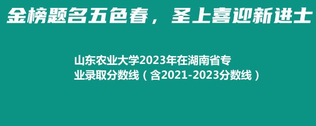 山东农业大学2023年在湖南省专业录取分数线（含2021-2023分数线）