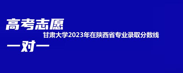 甘肃大学2023年在陕西省专业录取分数线