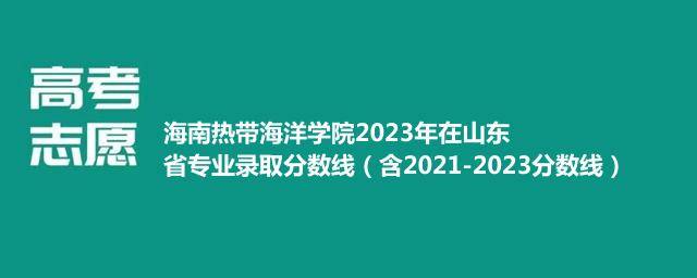 海南热带海洋学院2024在山东录取分数线(含2022-2024历年专业分)