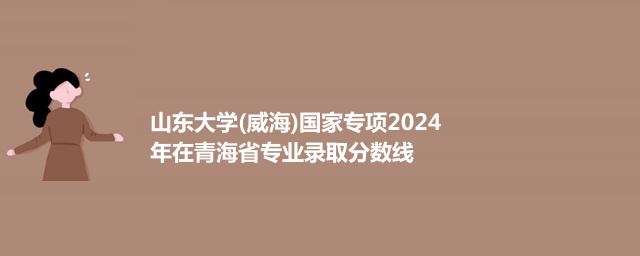 山东大学(威海)国家专项2024在青海专业录取分数线