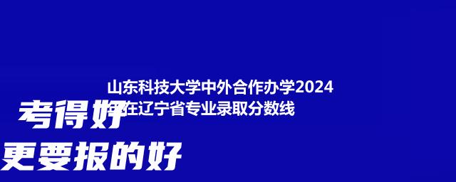 山东科技大学中外合作办学2024年在辽宁省专业录取分数线