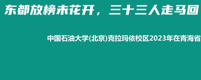 中国石油大学(北京)克拉玛依校区2023年在青海省专业录取分数线