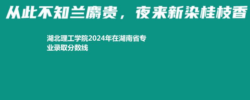 湖北理工学院2024年在湖南省专业录取分数线