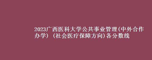 2023广西医科大学公共事业管理(中外合作办学) (社会医疗保障方向)各省录取分数线