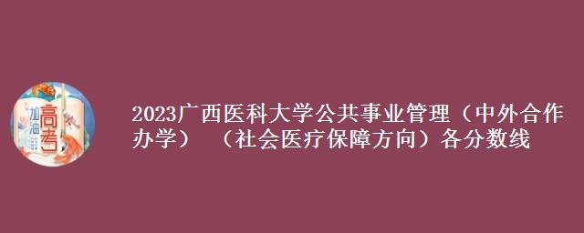 2023广西医科大学公共事业管理（中外合作办学） （社会医疗保障方向）各省录取分数线